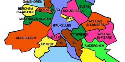 Mapa Brukseli dziedzinie